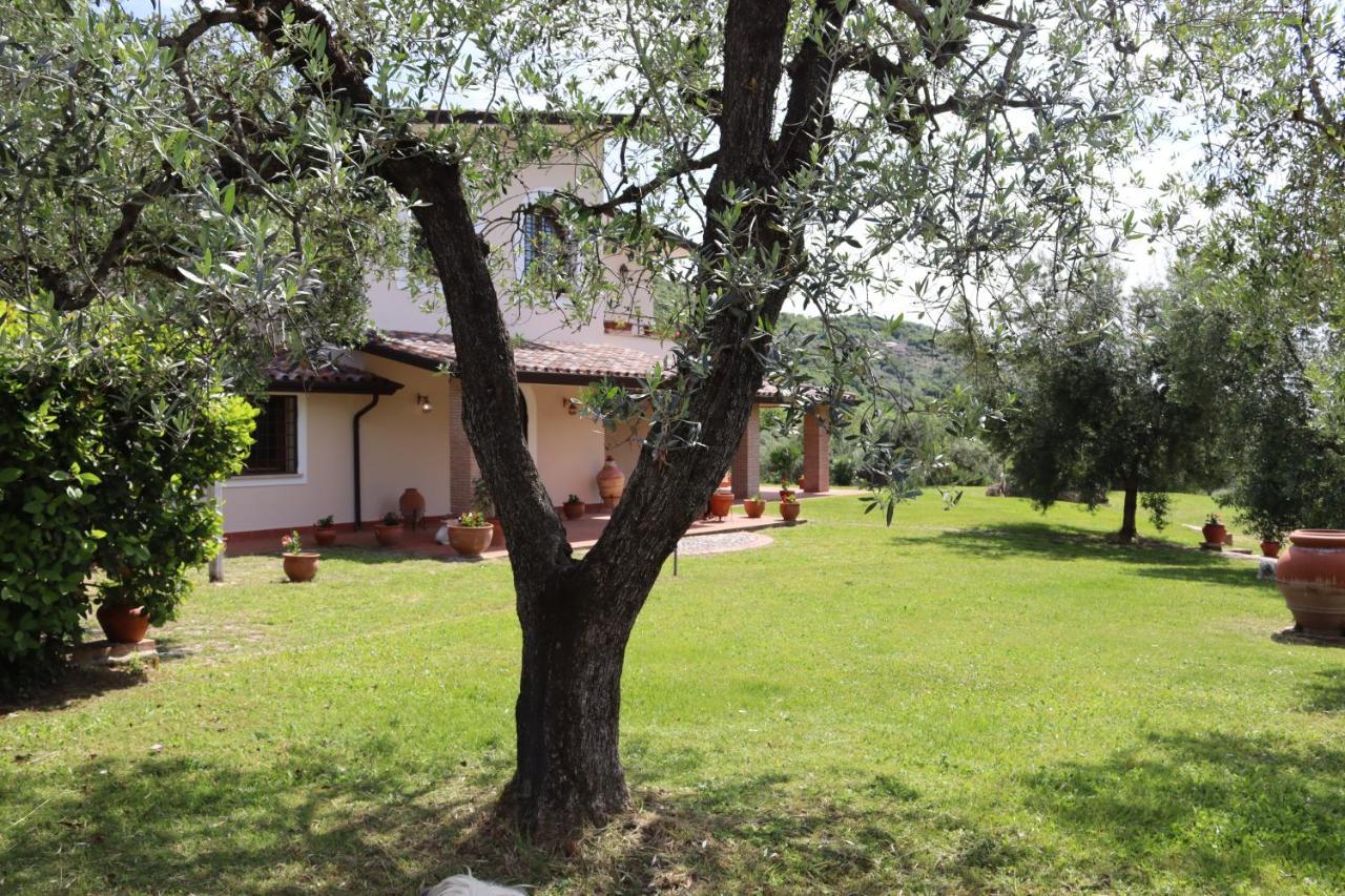 Agriturismo Il Bagolaro Nerola Εξωτερικό φωτογραφία