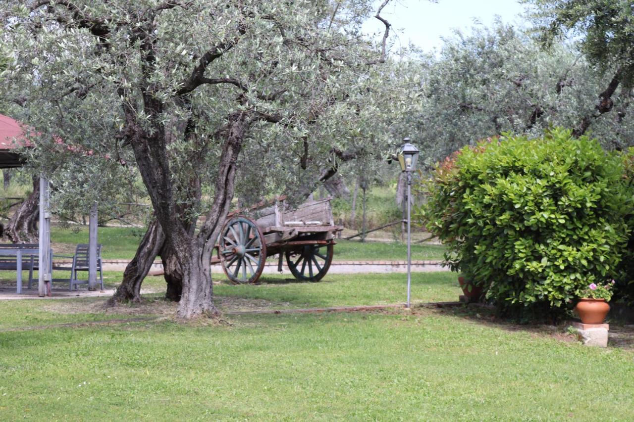 Agriturismo Il Bagolaro Nerola Εξωτερικό φωτογραφία
