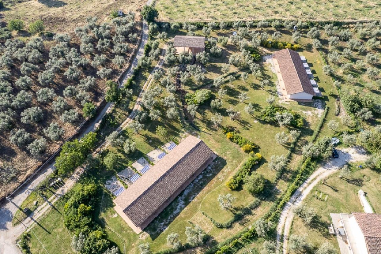 Agriturismo Il Bagolaro Nerola Εξωτερικό φωτογραφία